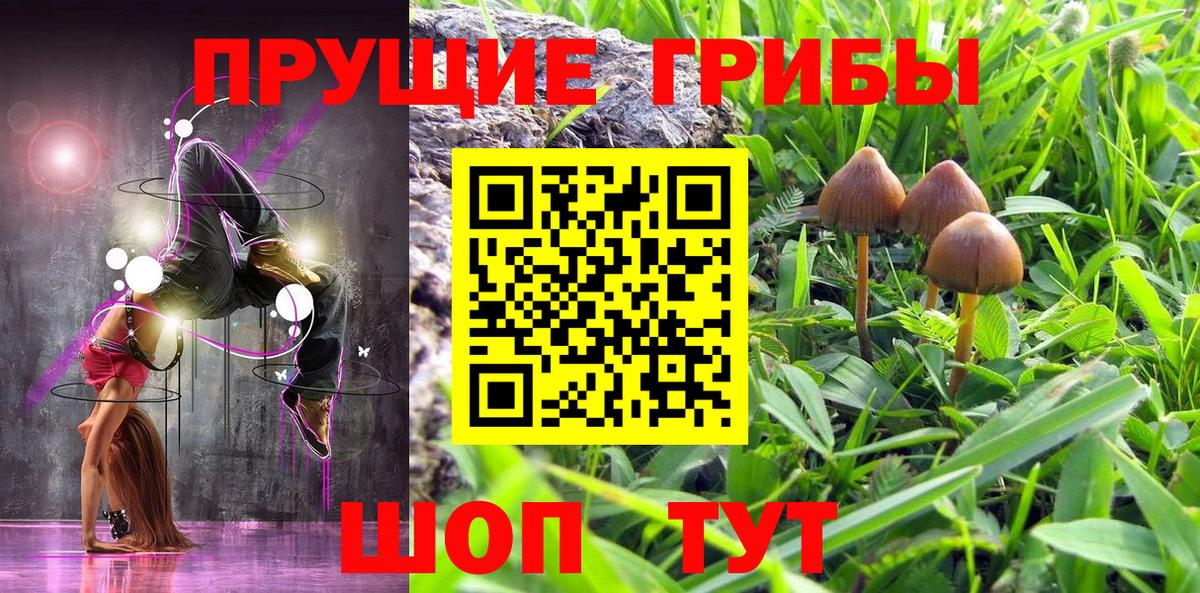 Галлюциногенные грибы Magic Shrooms  Вход с VPN  Новокубанск 